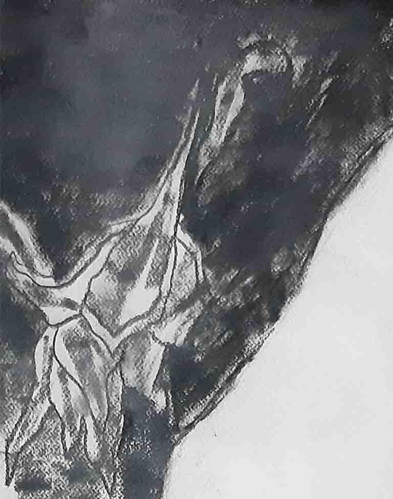 Ser uno con la Naturaleza I, Carboncillo sobre papel  Pintura en blanco y negro  