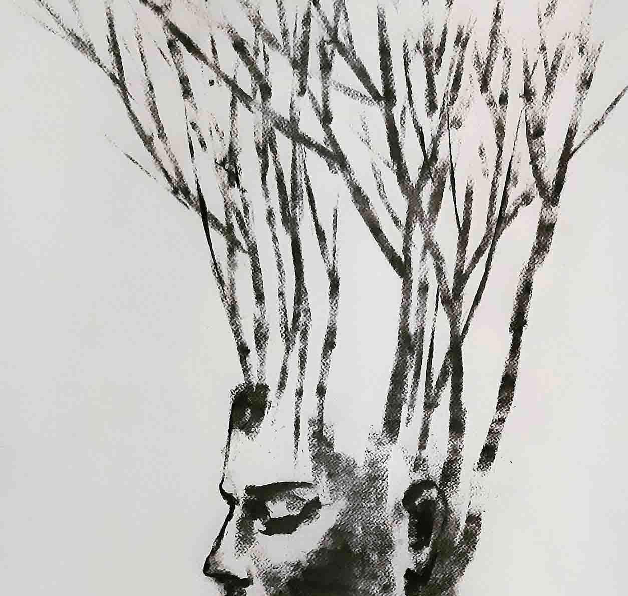 black and white nature drawings