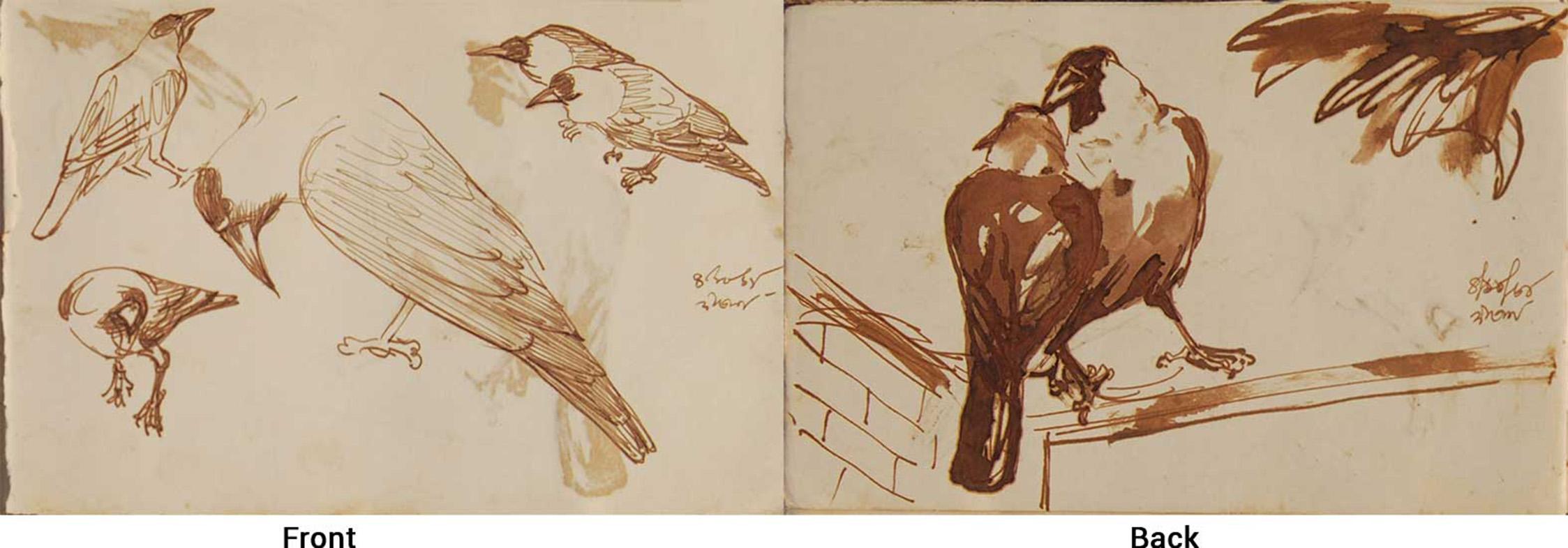 Crows,Rare Sketchbook of Watercolors on Paper,By OldBengal IndianArtist InStock