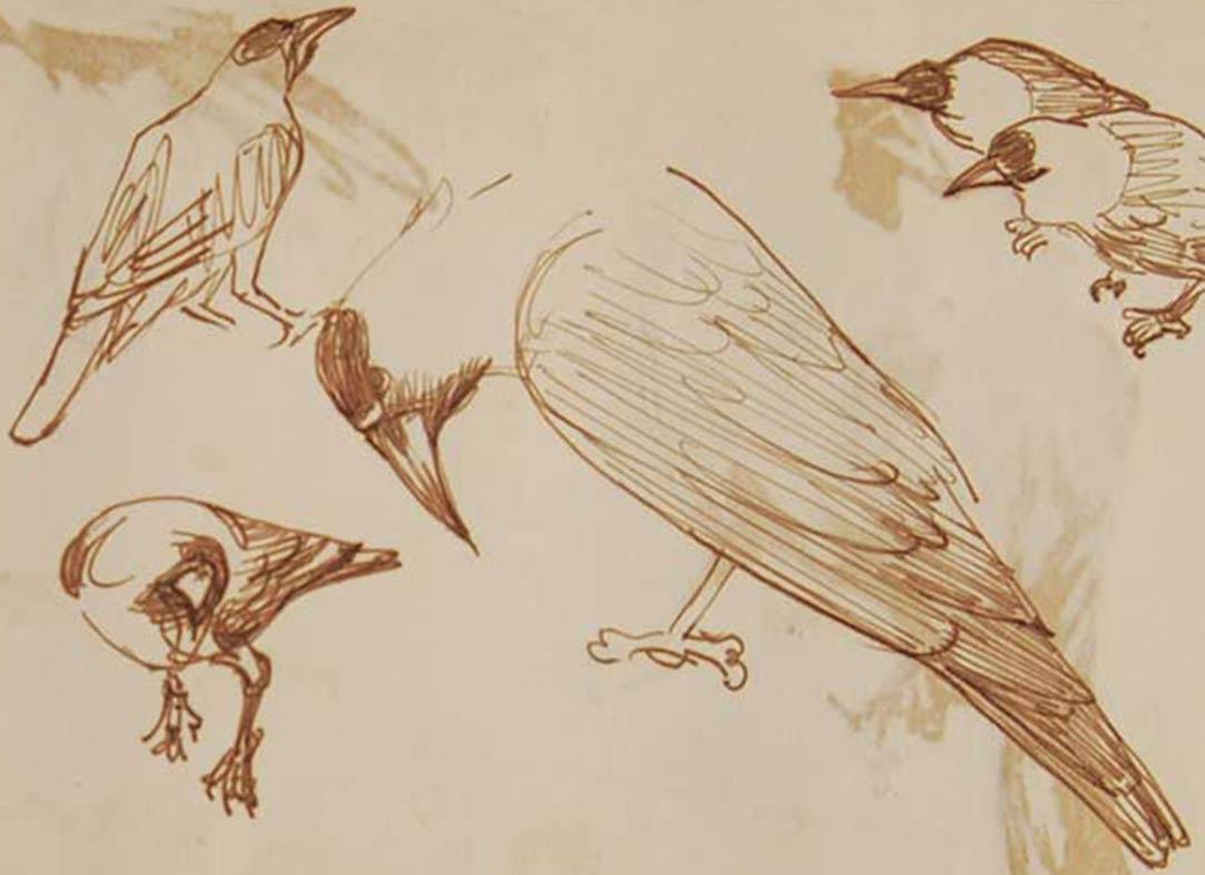 Crows, Rare Sketchbook of Watercolors on Paper By Old Bengal Dipen Bose For Sale 3