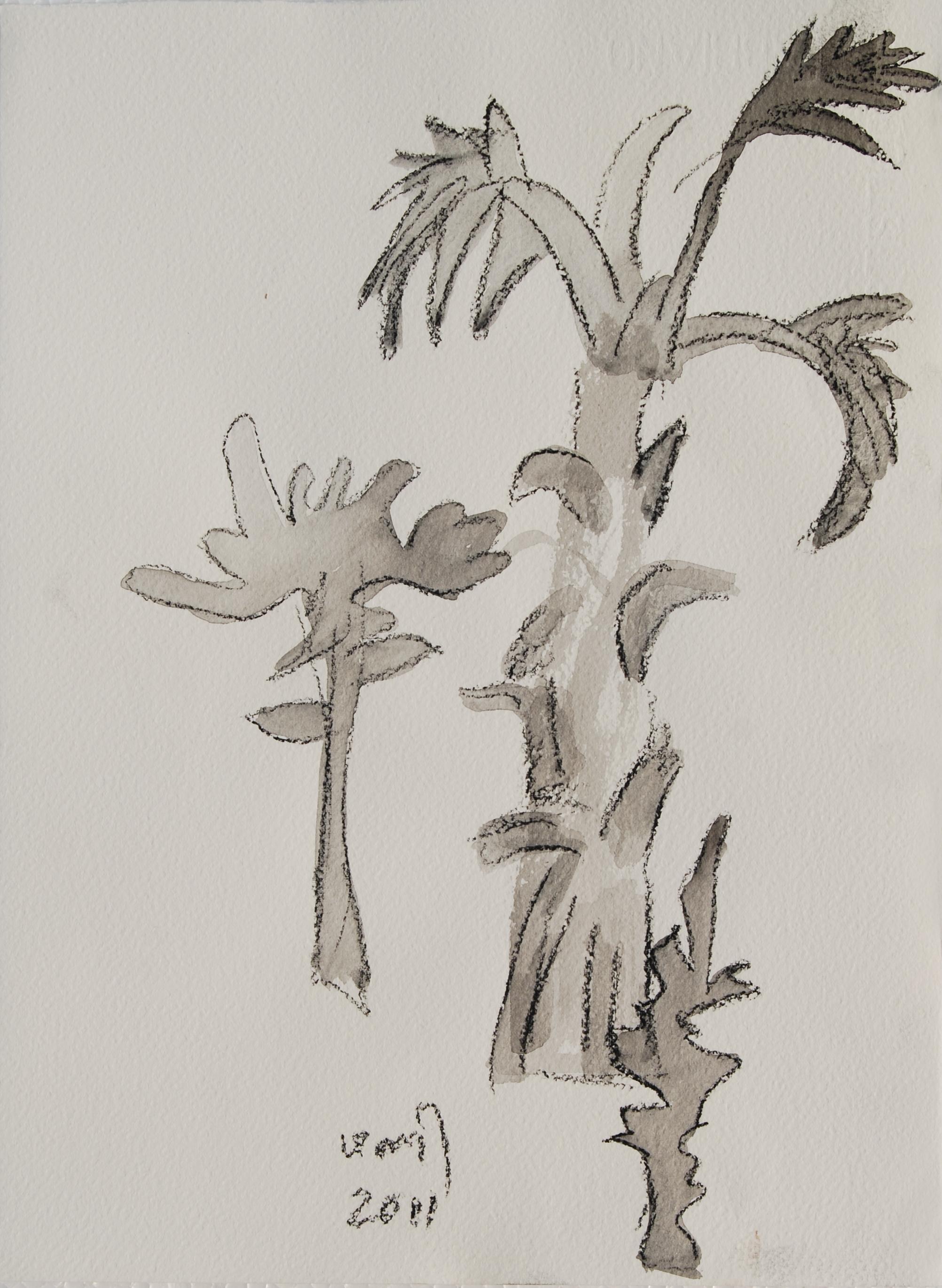 Trees, Drawing, Charcoal, Wash on paper by Indian, Padma Bhushan Artist"In Stock"