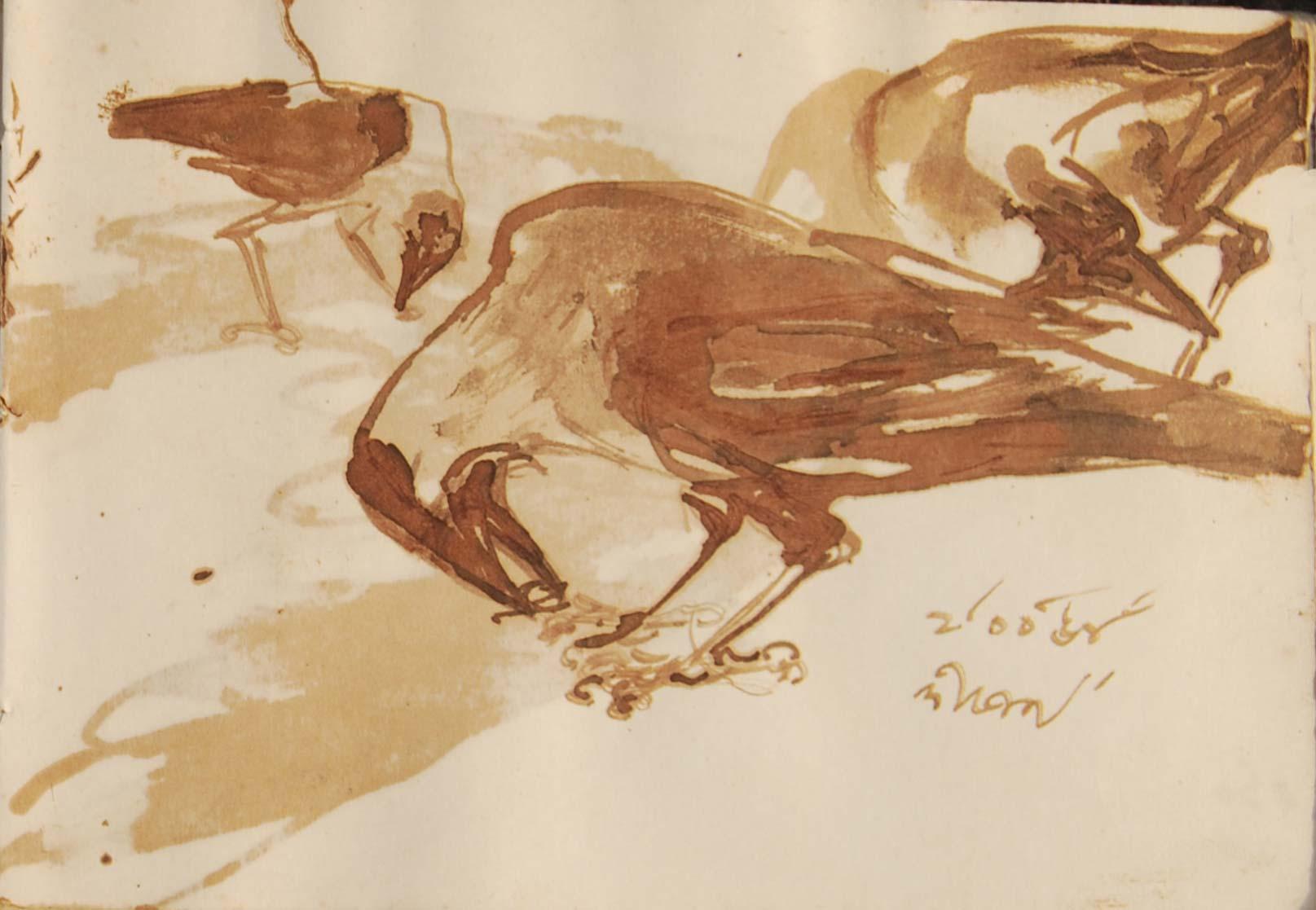 Serie Crow, Disegni rari, Acquerello a pennello su carta dell'artista del Bengala 