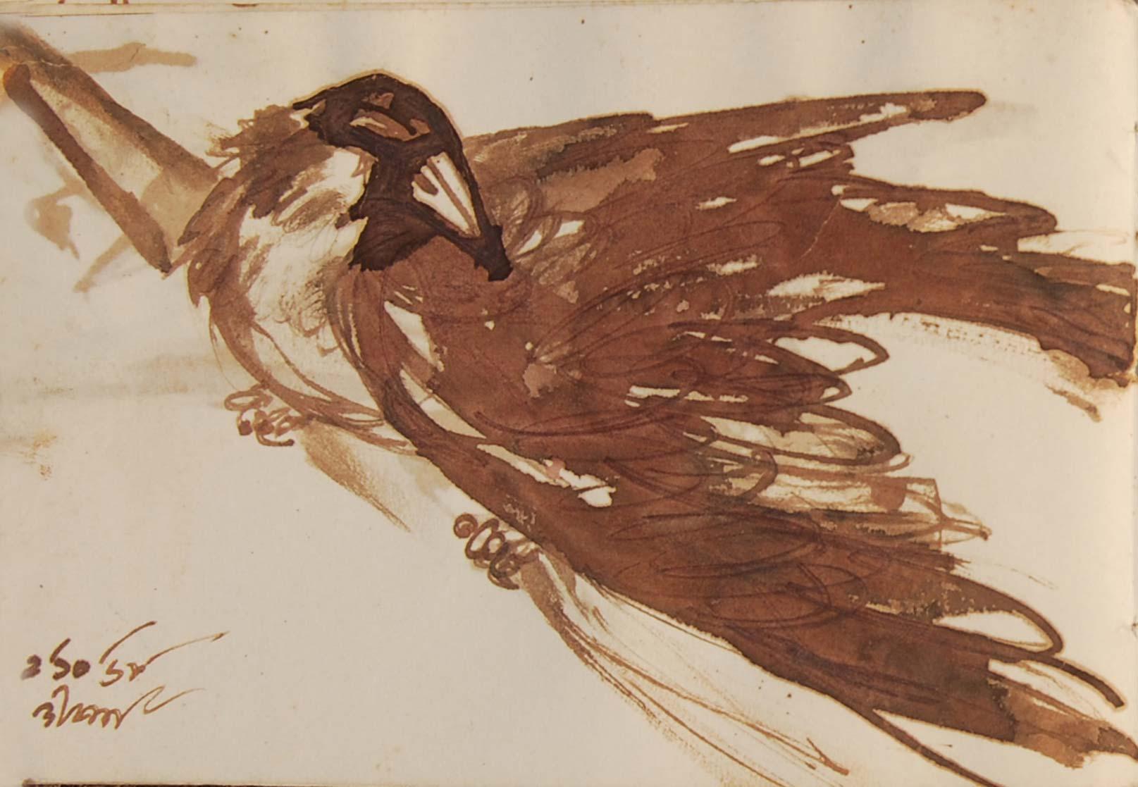 Serie Crow, Disegni rari, Acquerello a pennello su carta dell'artista del Bengala 