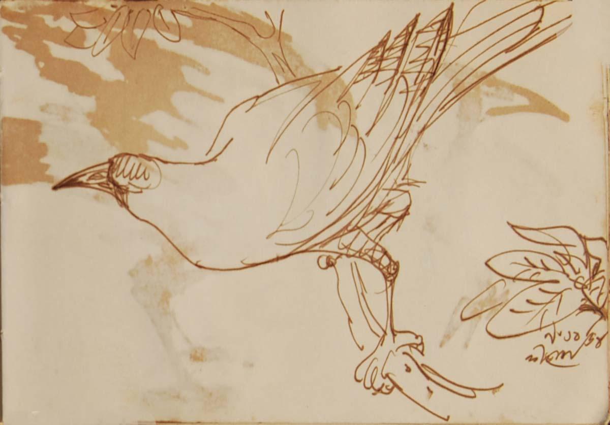 Serie Crow, Disegni rari, Acquerello a pennello su carta dell'artista del Bengala 