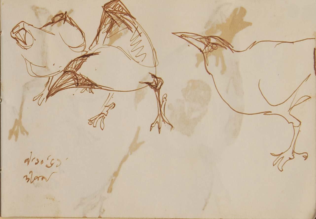 Serie Crow, Disegni rari, Acquerello a pennello su carta dell'artista del Bengala 