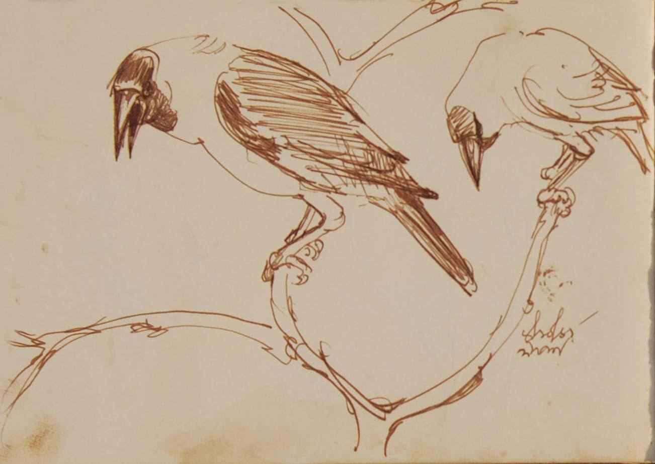 Serie Crow, Disegni rari, Acquerello a pennello su carta dell'artista del Bengala 
