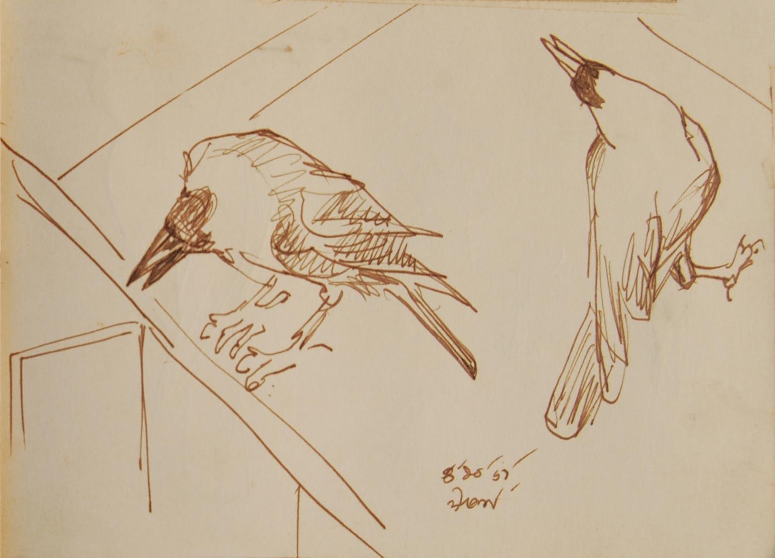 Crow Series, Drawings, Brush, Watercolor on Paper, Brown by Dipen Bose