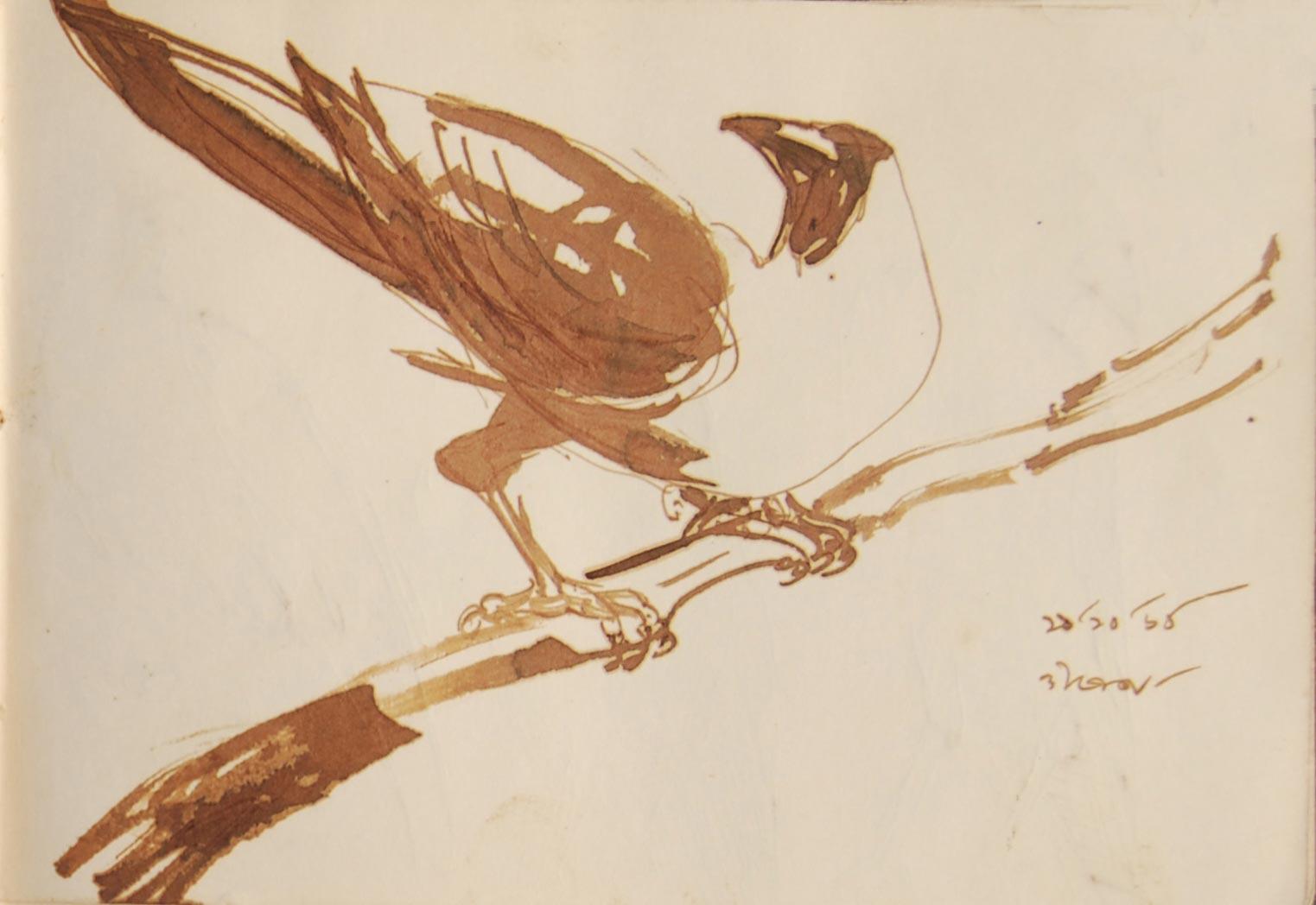 Crow Series, Drawings, Brush, Watercolor on Paper, Brown by Dipen Bose