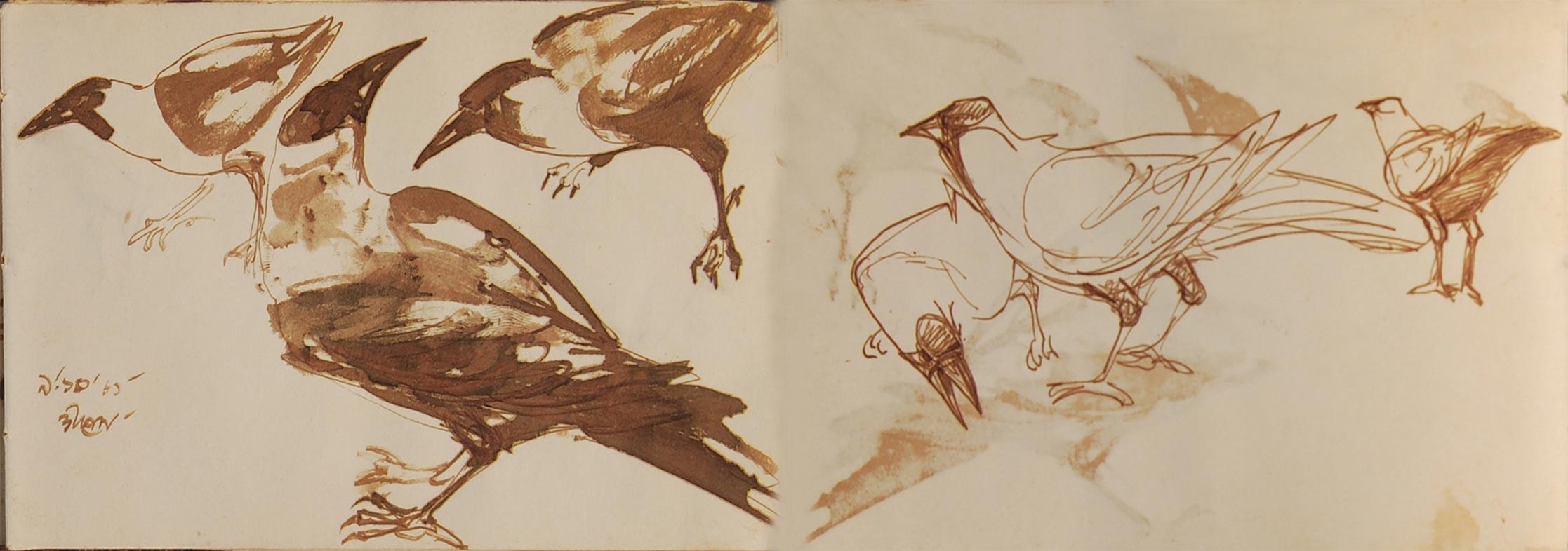 Crow Series, Brush, Watercolor on Paper, Two sided works, Bengal Artist