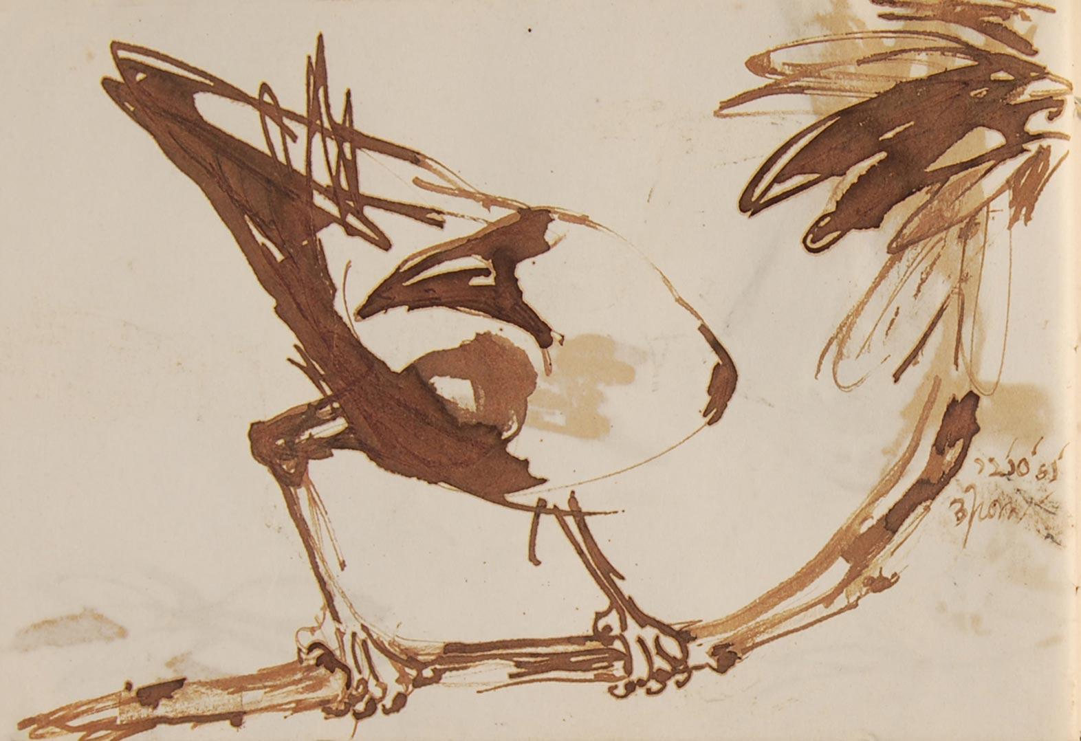 Crow Series, Brush, Watercolor on Paper, Two sided works, Bengal Artist