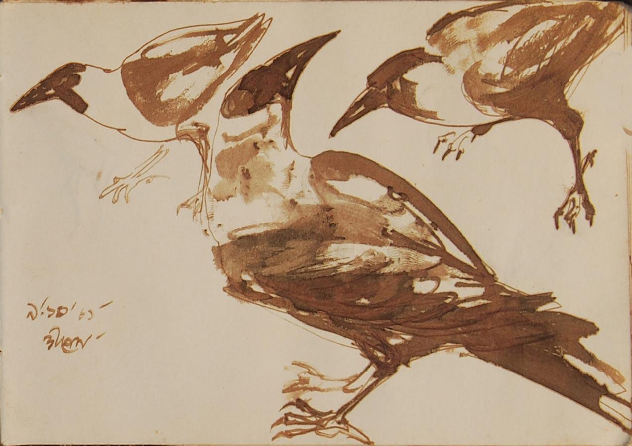 Crow Series, Brush, Watercolor on Paper, Two sided works, Bengal Artist