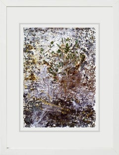 Senza titolo, tecnica mista su tavola dell'artista indiano "In stock"