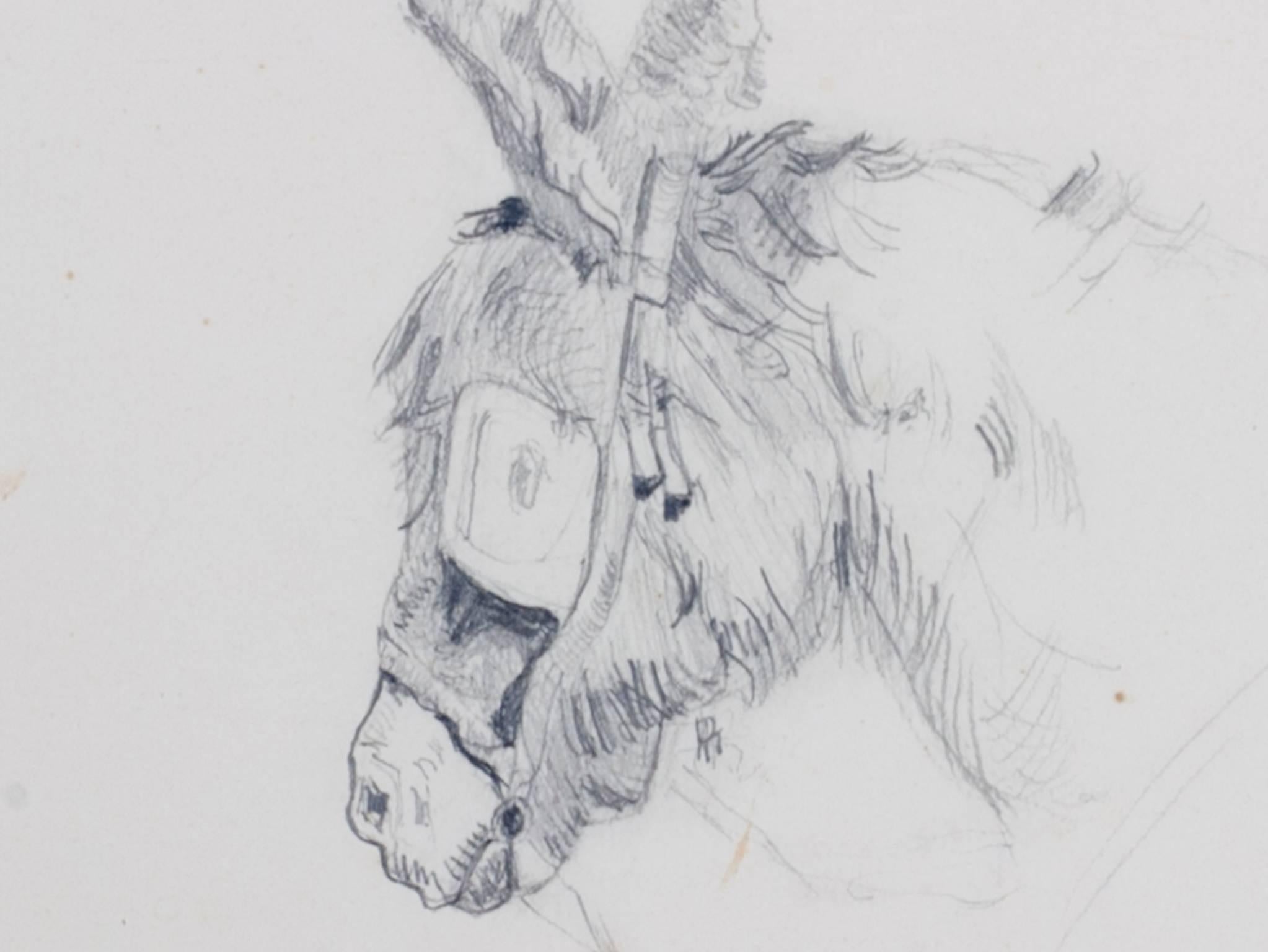 donkey pencil drawing