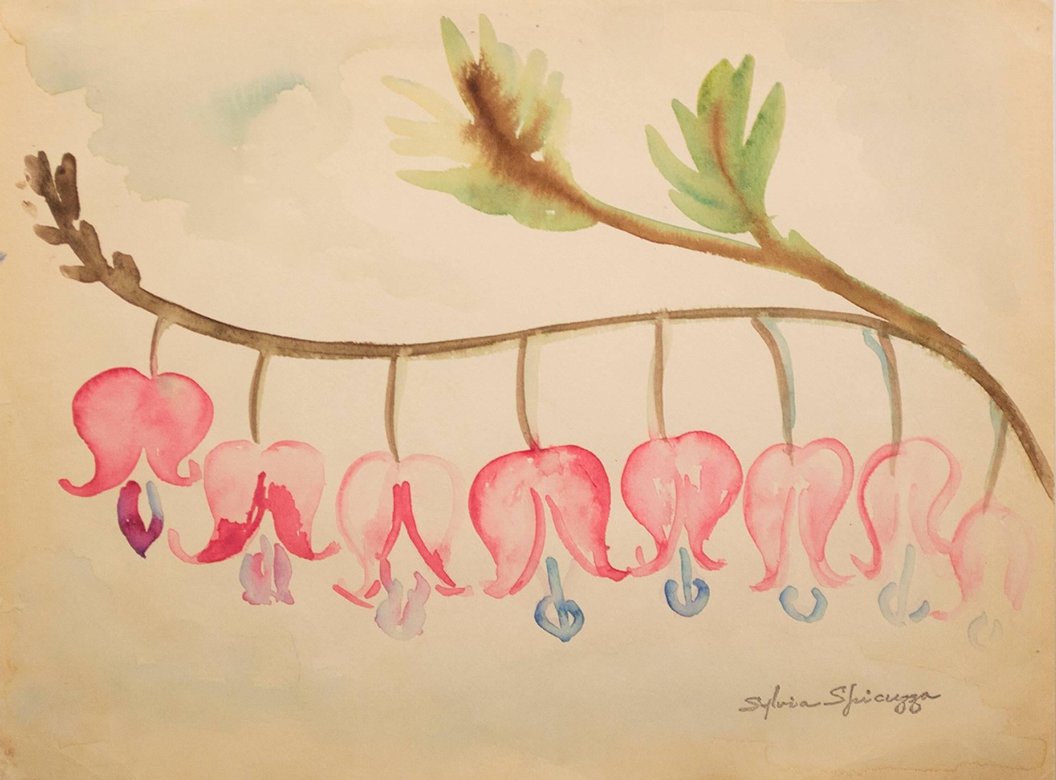 „Bleeding Hearts“, Original botanisches Aquarell signiert von Sylvia Spicuzza