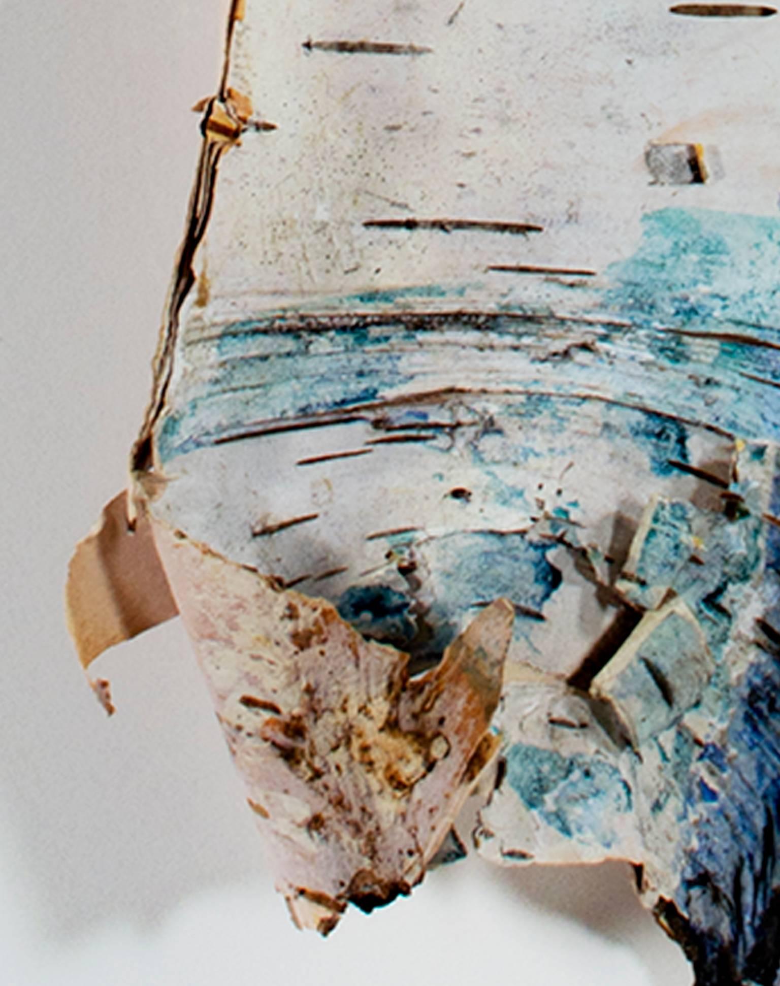 birchbark series