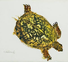 "Three Legged Turtle, " Original Watercolor signed by Alicia Czechowski