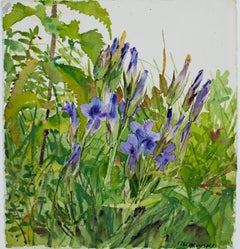 Retro "Fringed Gentians, " Original Watercolor of Flowers signed by Alicia Czechowski