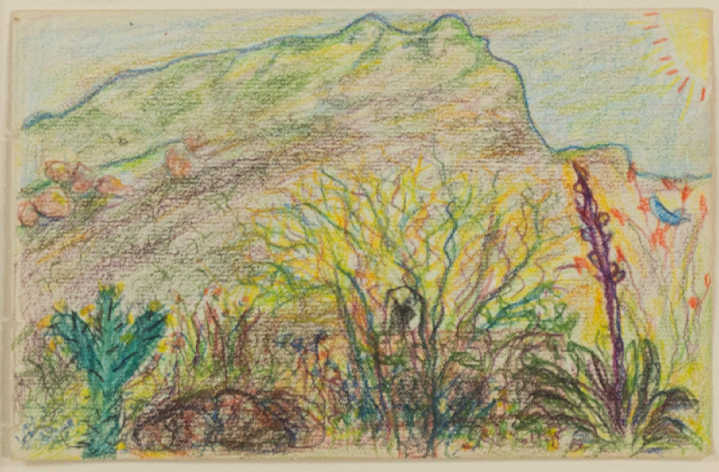 "The Boulders - Carefree, Arizona" is an original color pencil drawing on antique Wahltman paper by David Barnett. The artist signed and dated the piece. The carefree scribbles and marks are reminiscent of the artwork's namesake. Barnett has