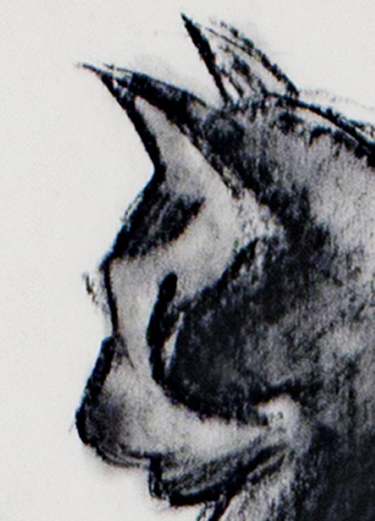 Sylvia Spicuzza – „Kohle-Tierzeichnung des 20. Jahrhunderts, sitzende  Zeichnung einer Katze, schwarz-weiß signiert“ im Angebot bei 1stDibs  Deutschland, image size:768x1066