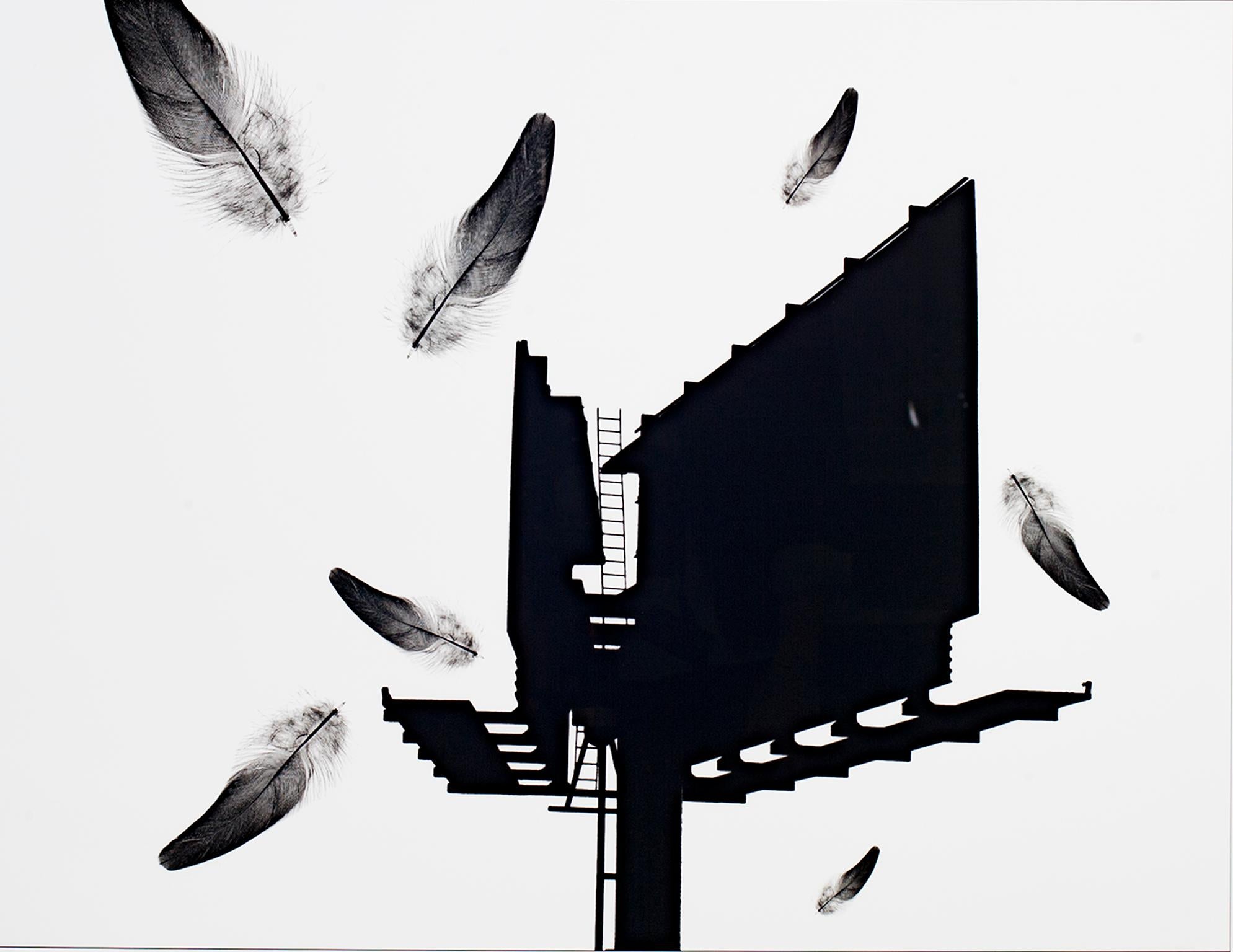 "Billboard" is an original digital photograph print by Philip Krejcarek. This piece features the silhouette of a billboard in black with falling feathers. 

18" x 23 1/2" image
24" x 30" frame

EDUCATION:
M.F.A. - University of Wisconsin - Milwaukee