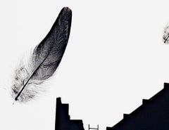 "Cartellone pubblicitario", stampa fotografica digitale in bianco e nero di Philip Krejcarek