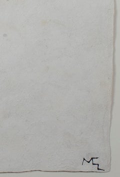 "Turtle, Desert & Pitcher, " Ink on Handmade Paper signed by Miguel Castro Leñero