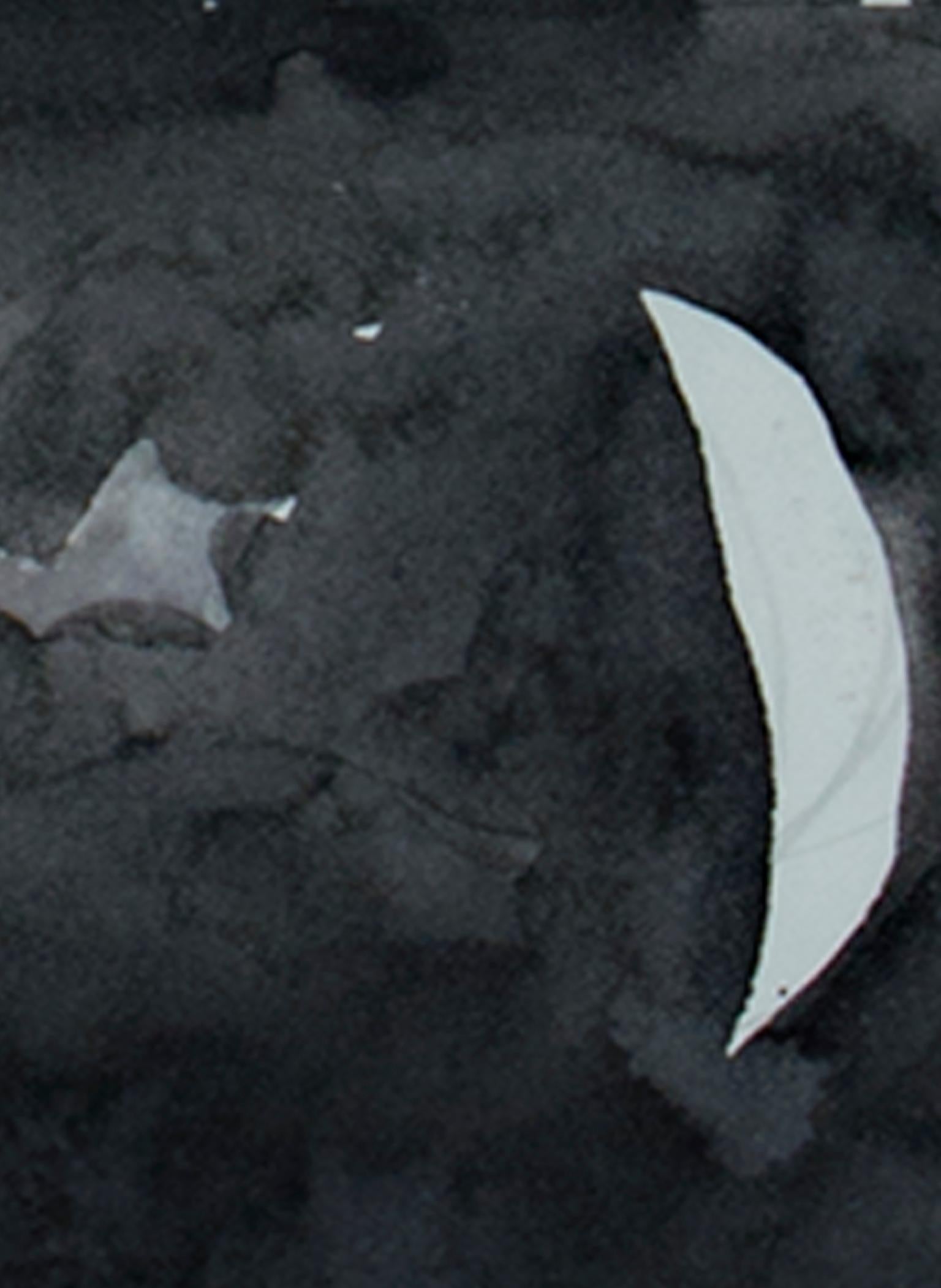Encrier noir et blanc « The Shooting Star » signé par Dan Muller, paysage nocturne en vente 3