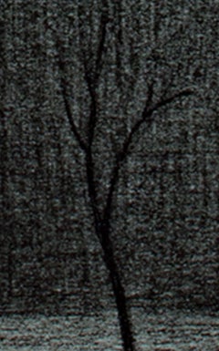 20th century interior dark moody Black & White Conte Drawing tree walls signed