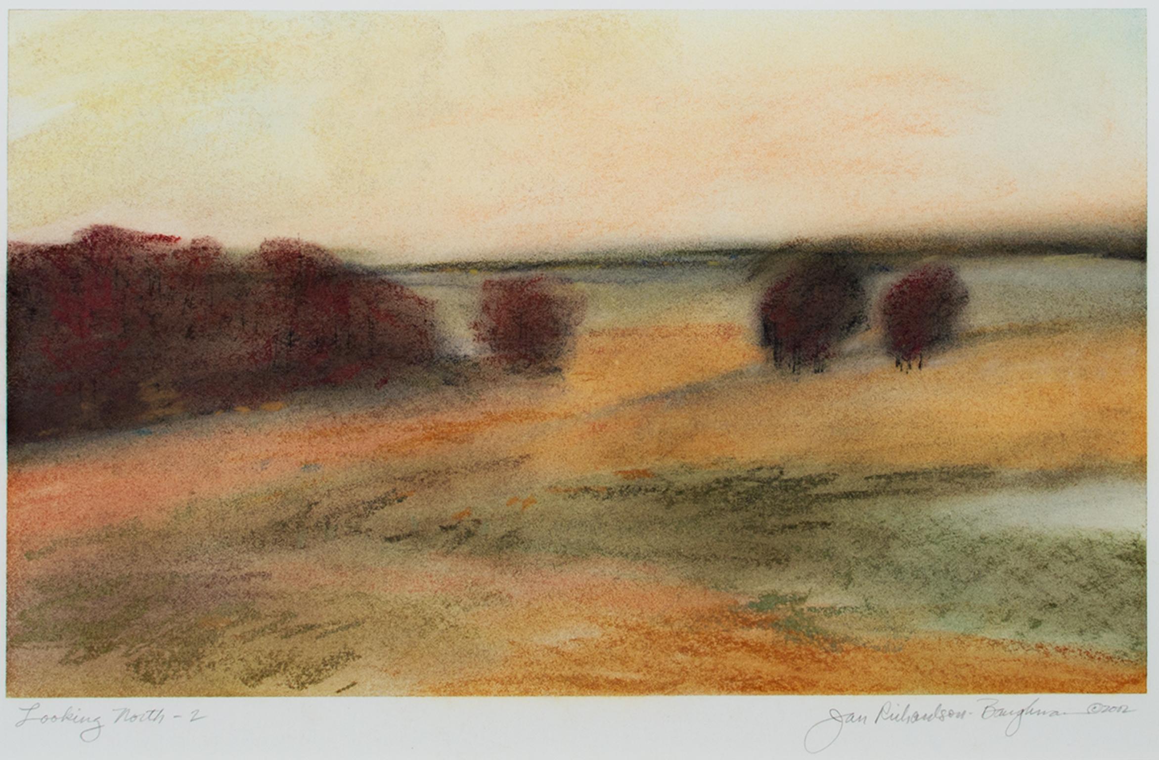 "Looking North 2" von Janet Richardson-Baughman ist eine Pastellzeichnung auf Papier, signiert in der unteren rechten Ecke. Das Werk ist gerahmt und mit säurefreiem Passepartoutkarton versehen. Diese Landschaftszeichnung zeigt sattorangefarbene