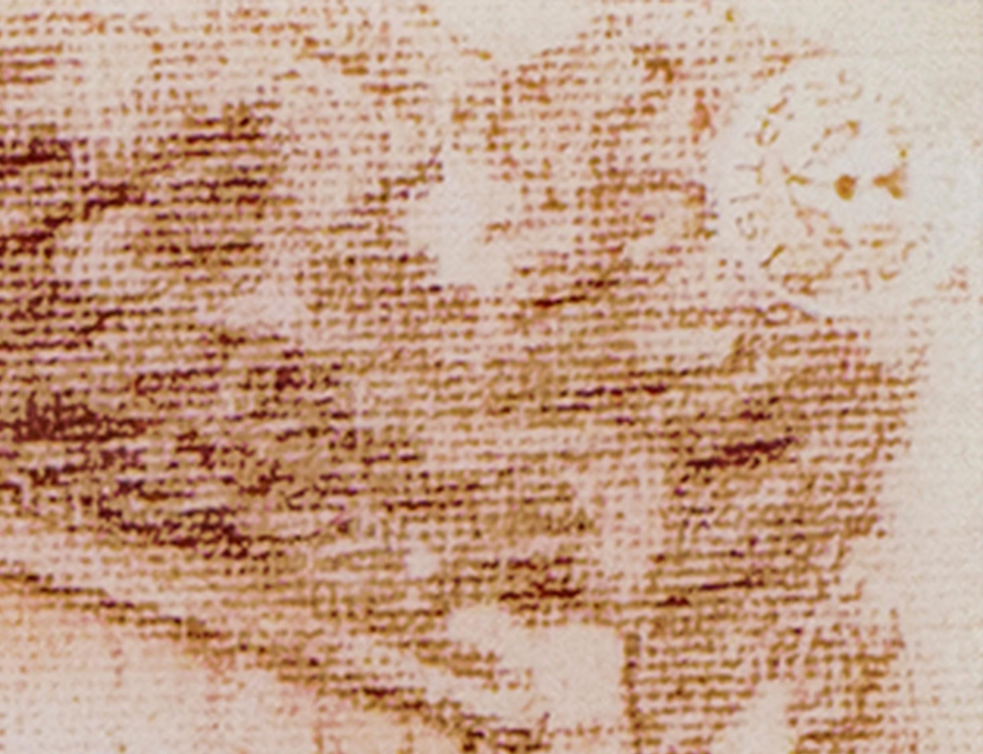 siglo xx dibujo conte paisaje granero sepia esbozo al aire libre pastoral firmado - Art Posmoderno de Sylvia Spicuzza