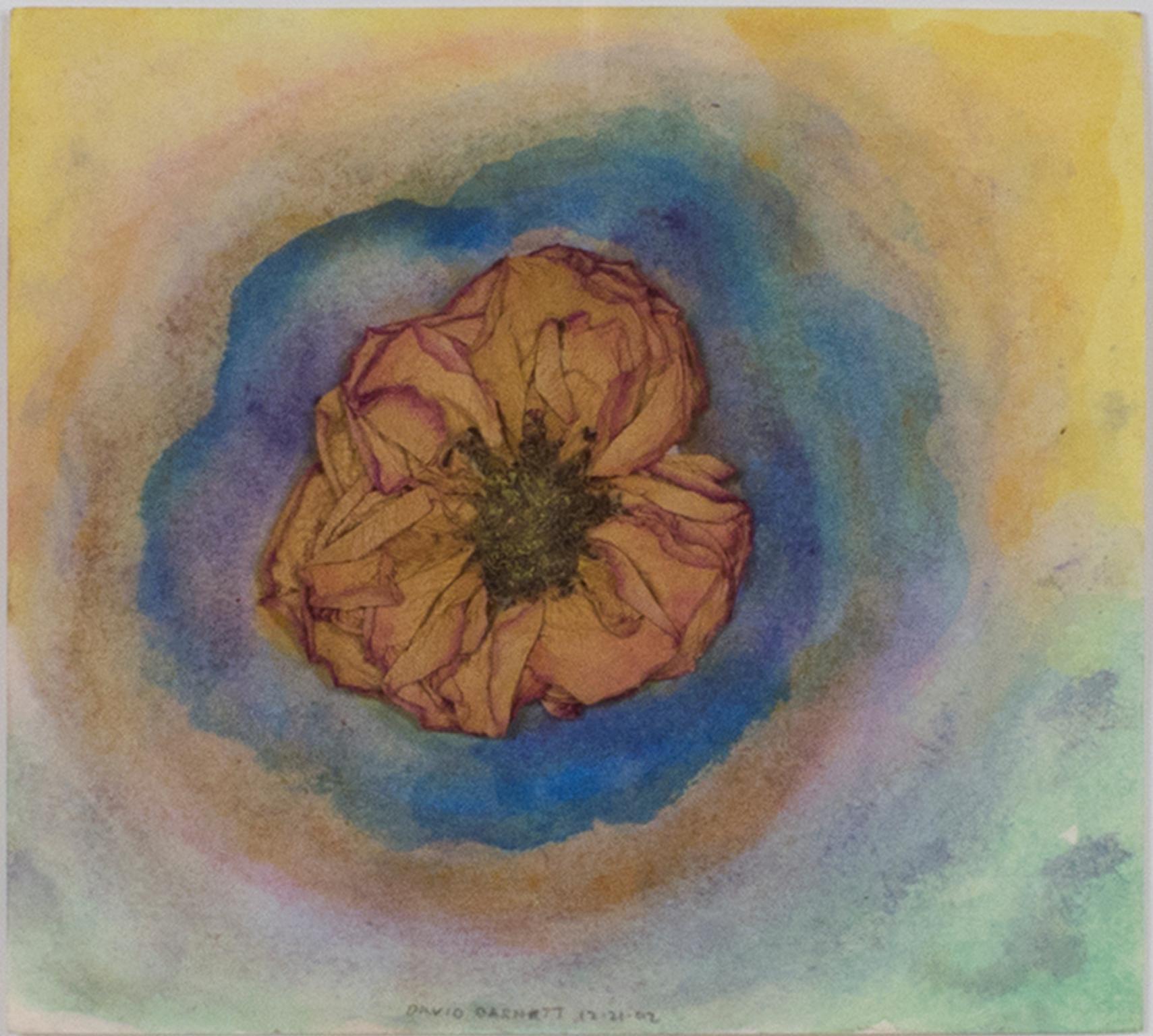 "Sky Flower Reflection" is an original watercolor and piece by David Barnett, signed along the bottom edge. The piece incorporates a dried rose in the center with circles of watercolor surrounding it, as though it were floating on the surface of a