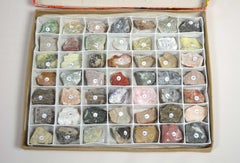 49 Shona Stone Samples with Specimen Box