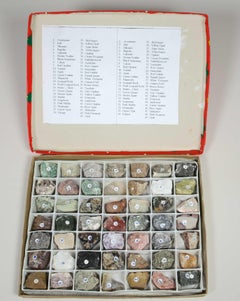 49 Shona Stone Samples with Specimen Box