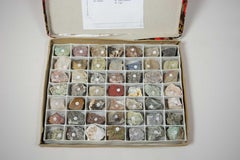 49 Shona Stone Samples with Specimen Box