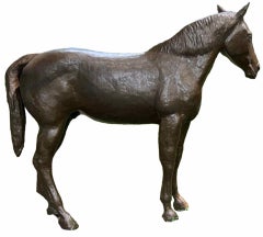 Used Quarter Horse