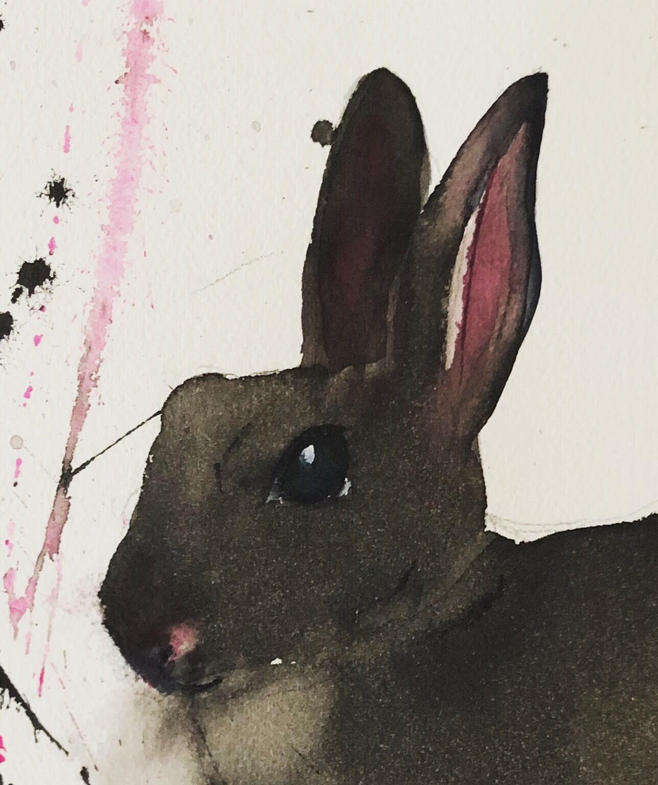 „Should I Stay or Should I Go“, Aquarellporträt eines Kaninchens von Julia Taylor im Angebot 1