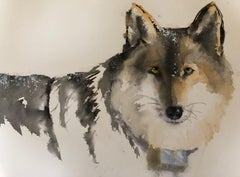 "Lupo '06", acquerello su carta Ritratto di lupo di Julia Taylor