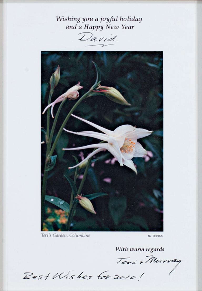 "Carte de vœux de vacances - Teri's Garden, Columbine" est une photographie signée par Murray et Teri Weiss. Cette carte de vacances souhaite à David de joyeuses fêtes et une bonne année. Une jolie fleur blanche est perchée au milieu de la photo,