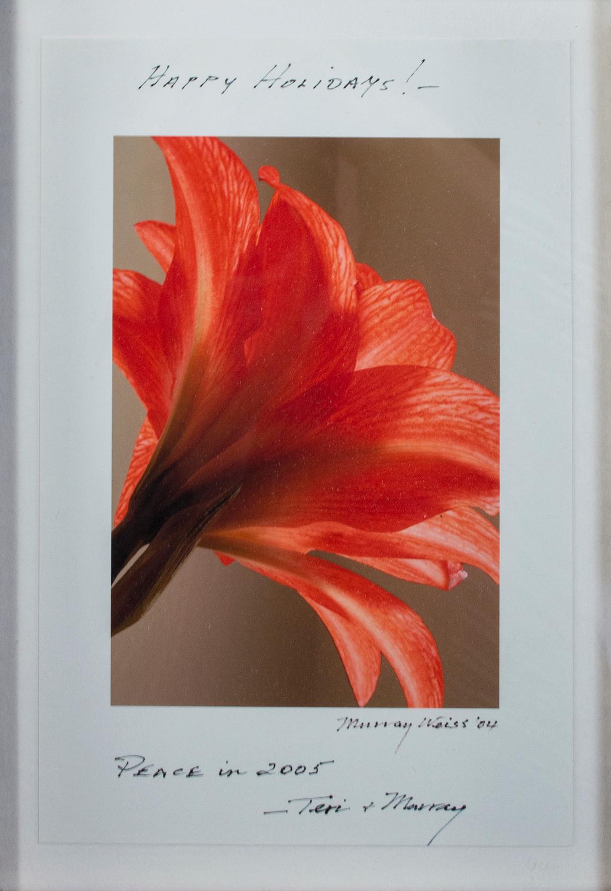 "Red Orange Flower, inscribed 'Happy Holidays!' - Peace in 2005 - Teri & Murray"