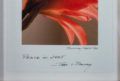 « Fleur rouge orange, avec l'inscription « Happy Holidays! » - Peace in 2005 - Teri & Murray »
