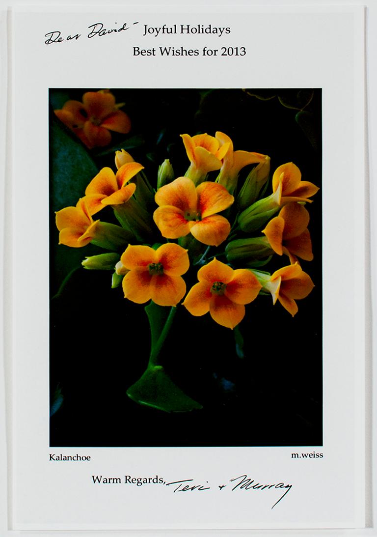 "Kalanchoe (2012 Holiday Card)" photographie signée par Teri & Murray Weiss. Cette carte contient une nature morte avec des fleurs dans un vase en verre. Les fleurs ont quatre pétales et leur centre est orange, puis jaune. 

Art : 8.38 x 5.5
