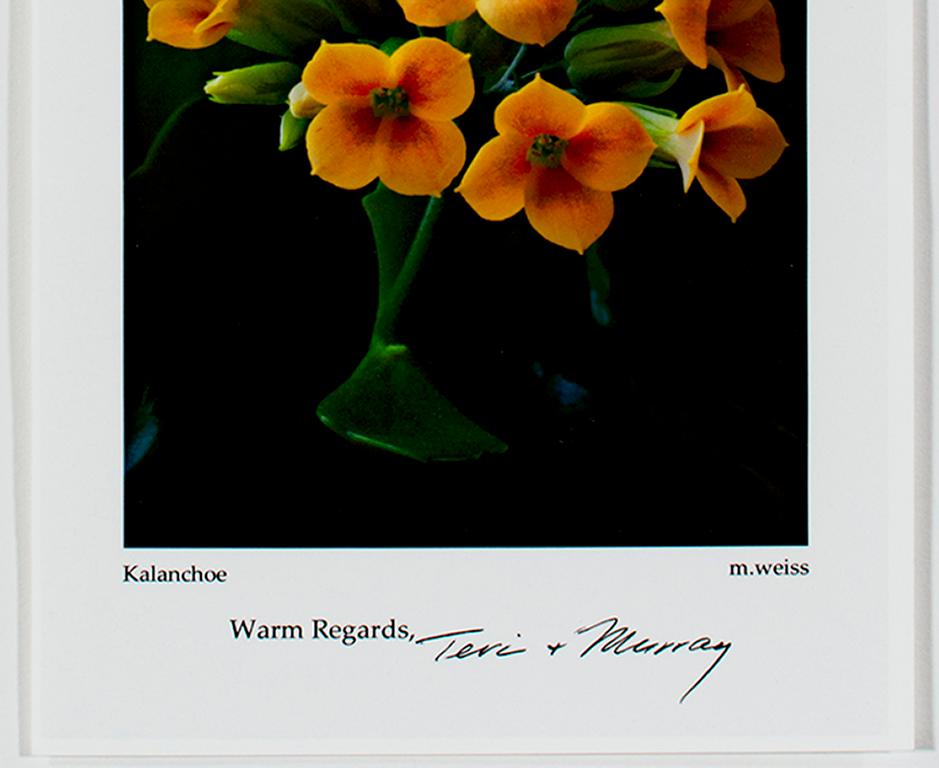 Photo « Karanchoe (2012 Holiday Greeting Card »), signée par Teri & Murray Weiss en vente 1