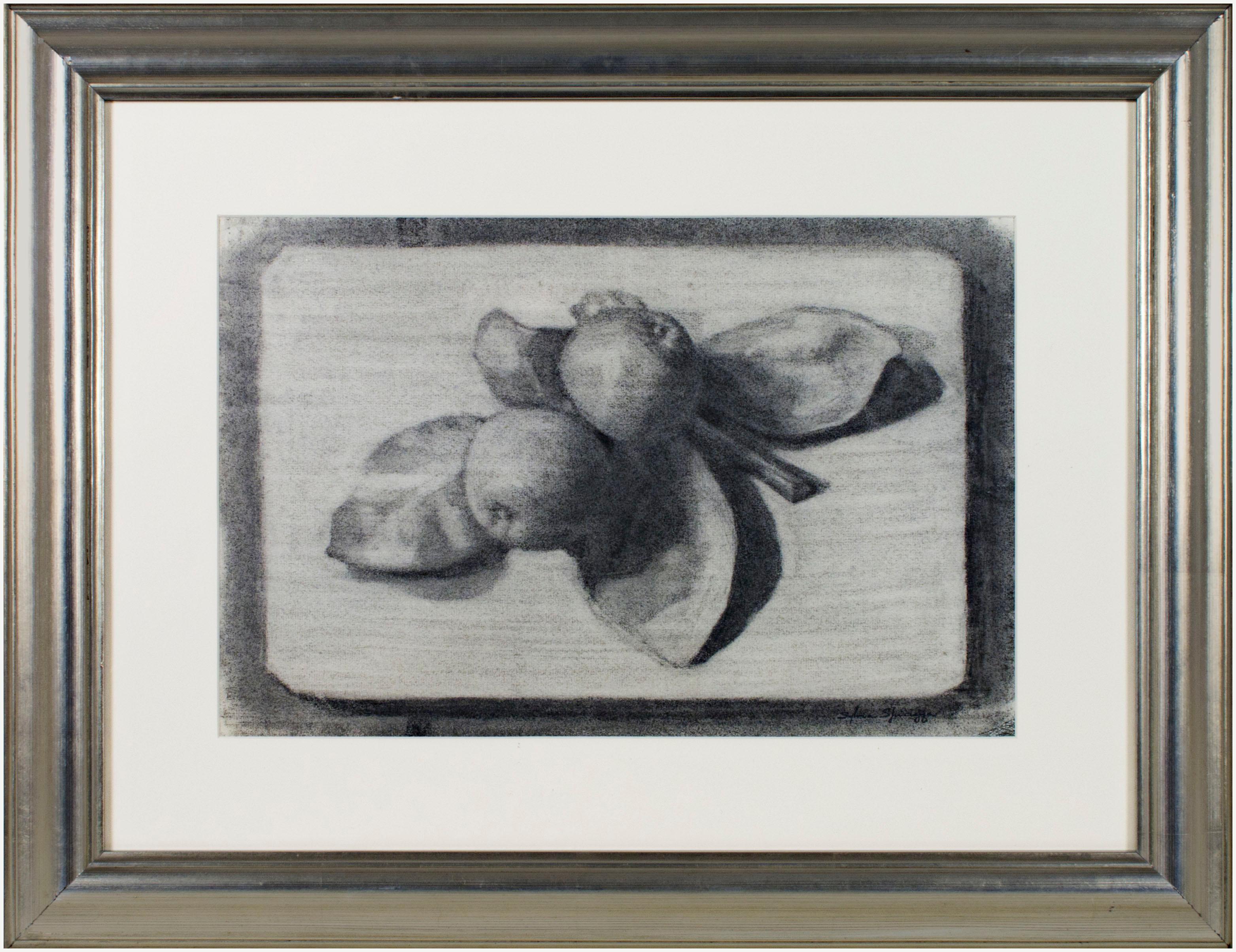 charcoal drawing fruit