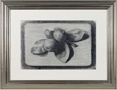 "Still Life with Fruit" original charcoal drawing by Sylvia Spicuzza