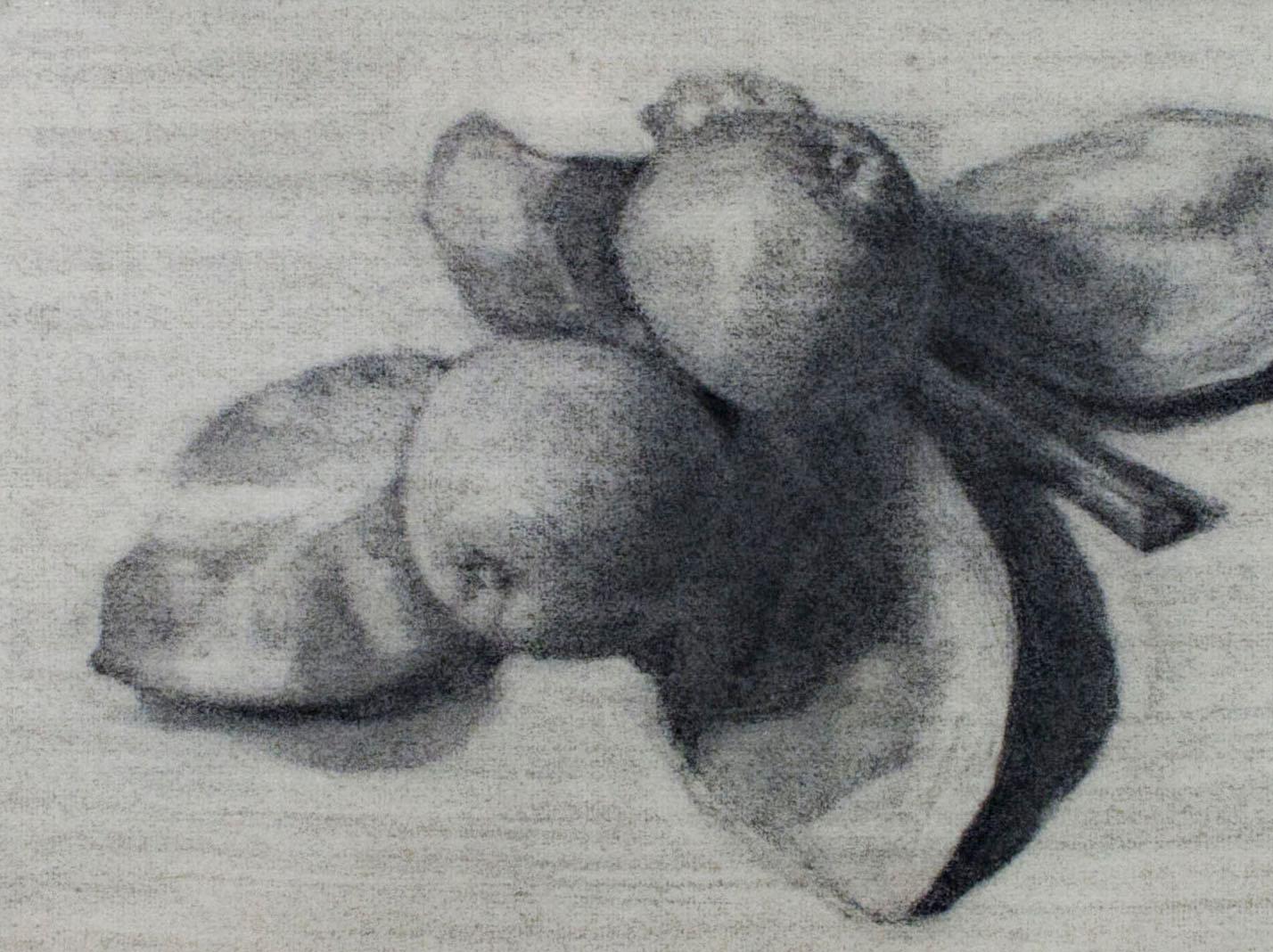 In this drawing, Sylvia Spicuzza presents the viewer with a dark, subtle view of two apples, still clinging to their leaves. Examples like this show the ability of Spicuzza to draw in a naturalistic style, where most of her work is usually in a