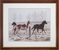 Photographie originale de Jacob Obletz intitulée "Jacob's Horses, Ashland, WI"