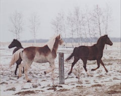 Jacob's Horses, Ashland, WI, photographie originale de Jacob Obletz