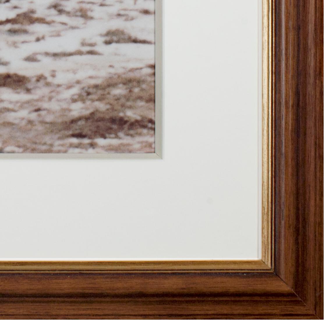 'Los caballos de Jacob, Ashland, WI' fotografía original de Jacob Obletz en venta 4