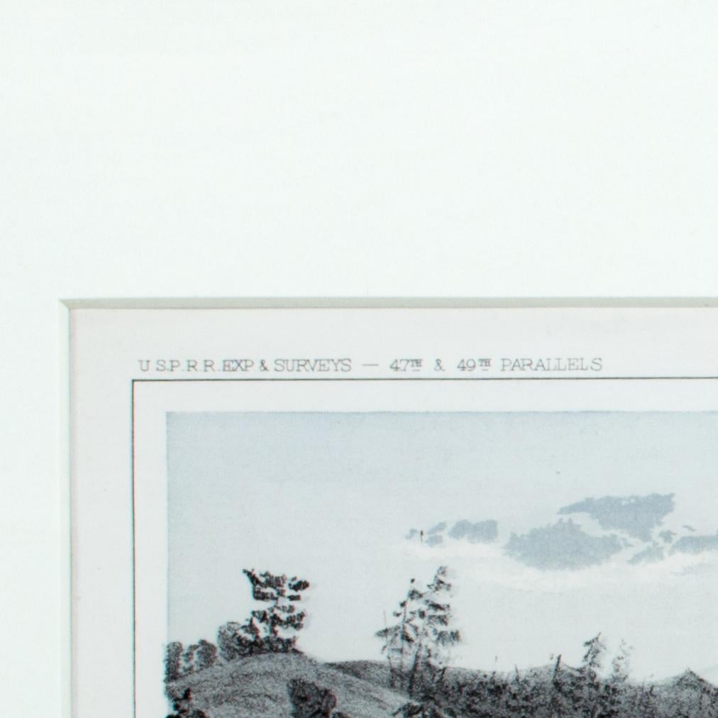 In the mid-nineteenth century, the United States government set out to survey and document its newly acquired lands and territories west of the Mississippi. The goals of these surveys were manifold: to produce topographical maps, to document flora