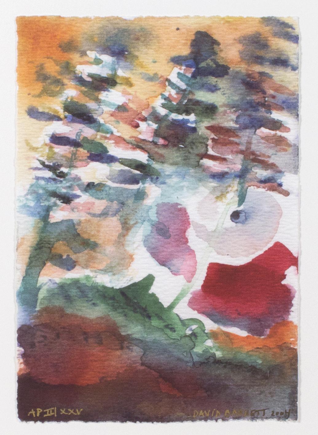 „Star Lake Autumn“, signierter Probedruck des Künstlers II/XXV, Gicle-Druck auf Aquarellpapier – Art von David Barnett